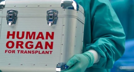 Transplantology