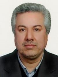 Dr. Naser Sargolzaee
