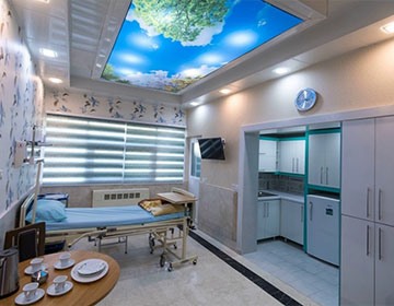 Aria Hospital